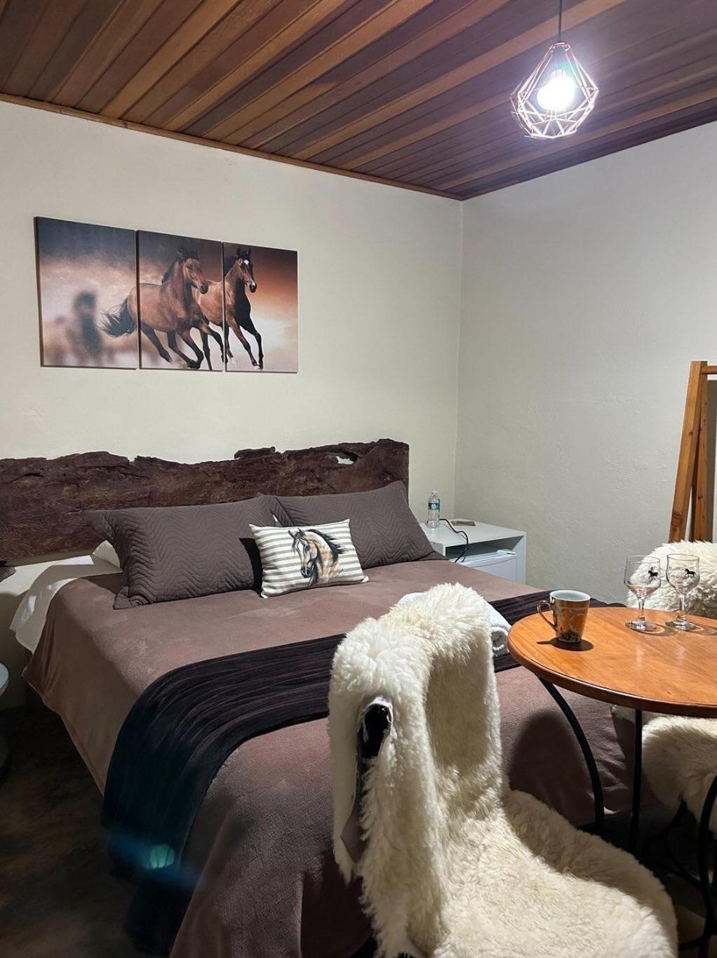 Villa Refugio Horse à Santo Antônio do Pinhal Chambre photo