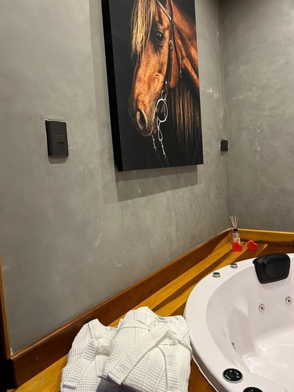 Villa Refugio Horse à Santo Antônio do Pinhal Chambre photo